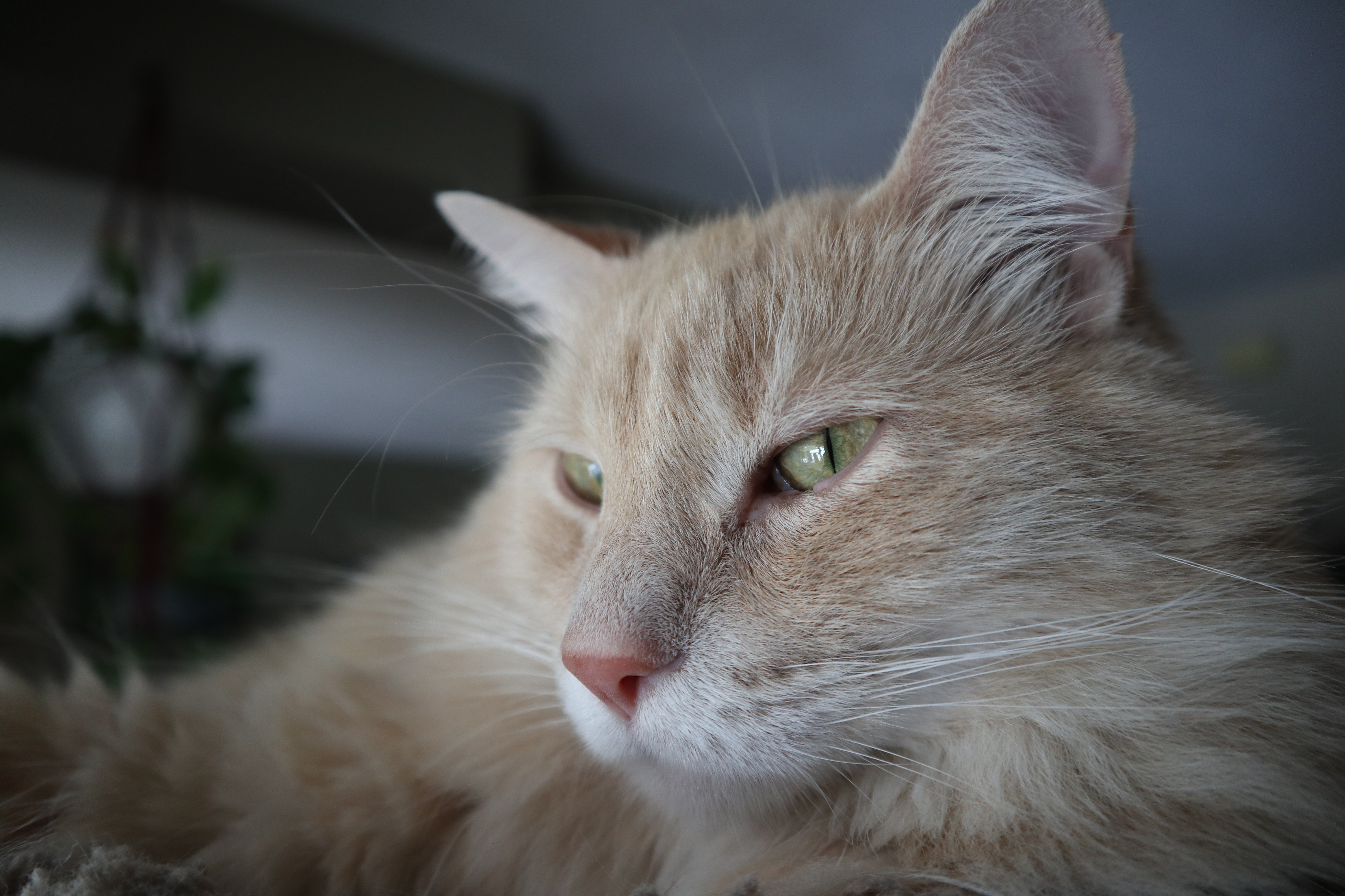 Photography 11